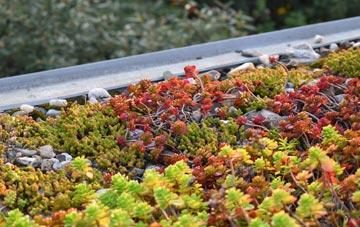 the cost of Critchmere green roof installation