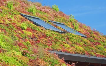 Critchmere living roof systems